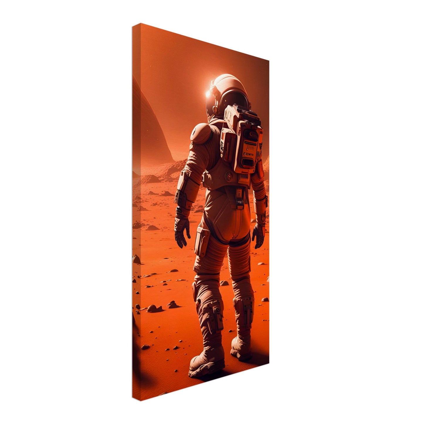 Mars Mission-Canvas