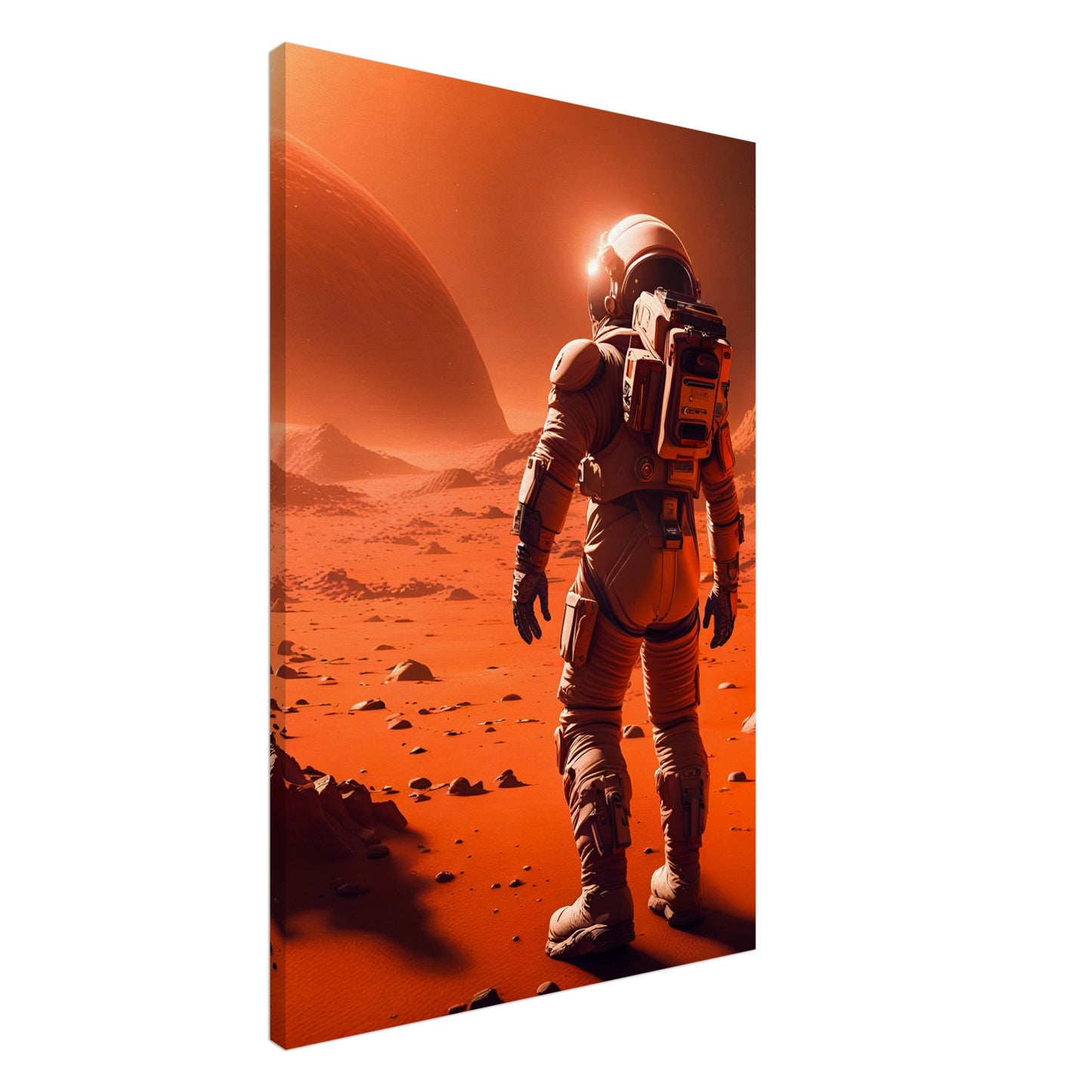 Mars Mission-Canvas