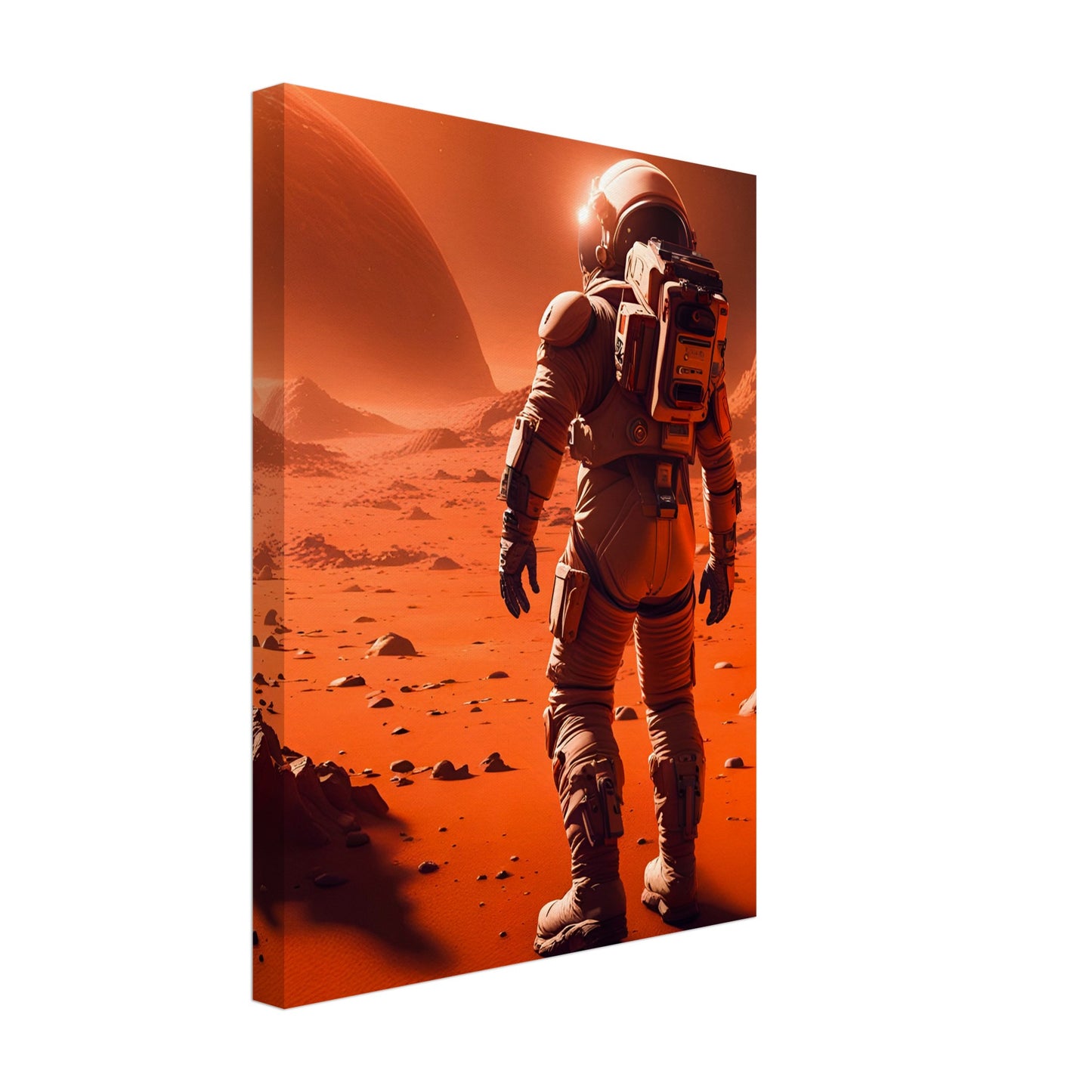 Mars Mission-Canvas